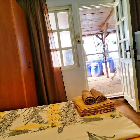 Casa Ioana 호텔 코스티네스티 외부 사진