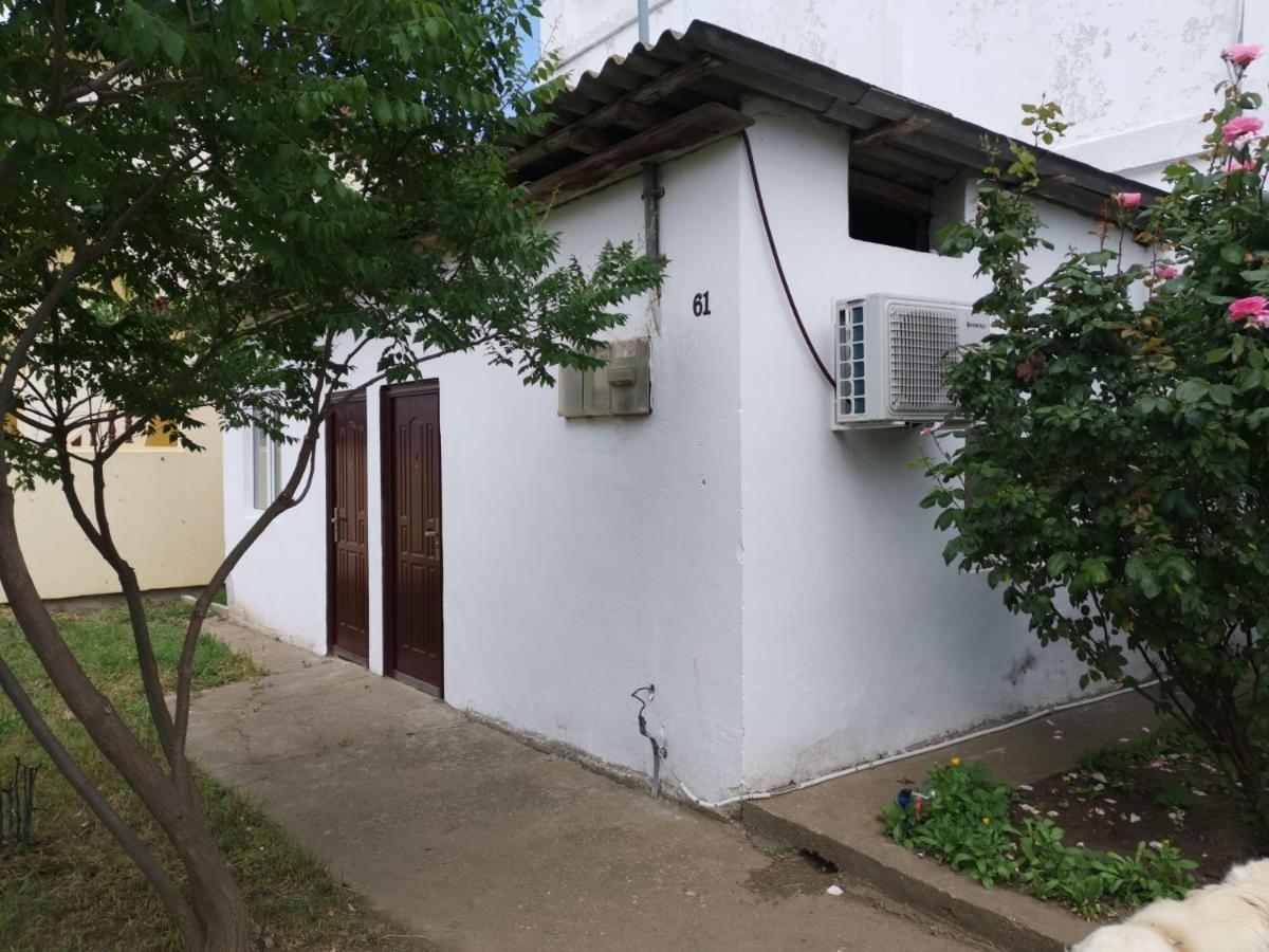 Casa Ioana 호텔 코스티네스티 외부 사진
